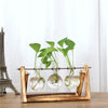 Hydroponic Vintage Flower Vase