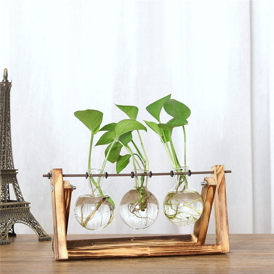 Hydroponic Vintage Flower Vase